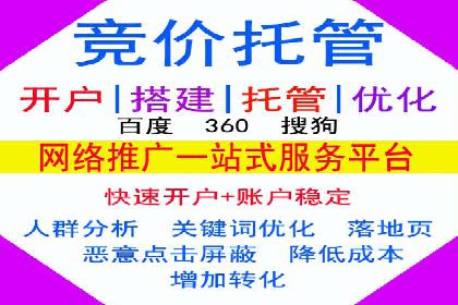 百度SEO推广公司案例分析：成功案例解析